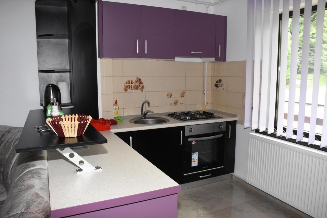 Hotel Apartament Eldya Comfort&Suites Predeal Exterior photo